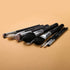 MASTER SERIES - 12 PCS CLASSIC BRUSH KIT - BRIGHT SILVER - EIGSHOW Beauty